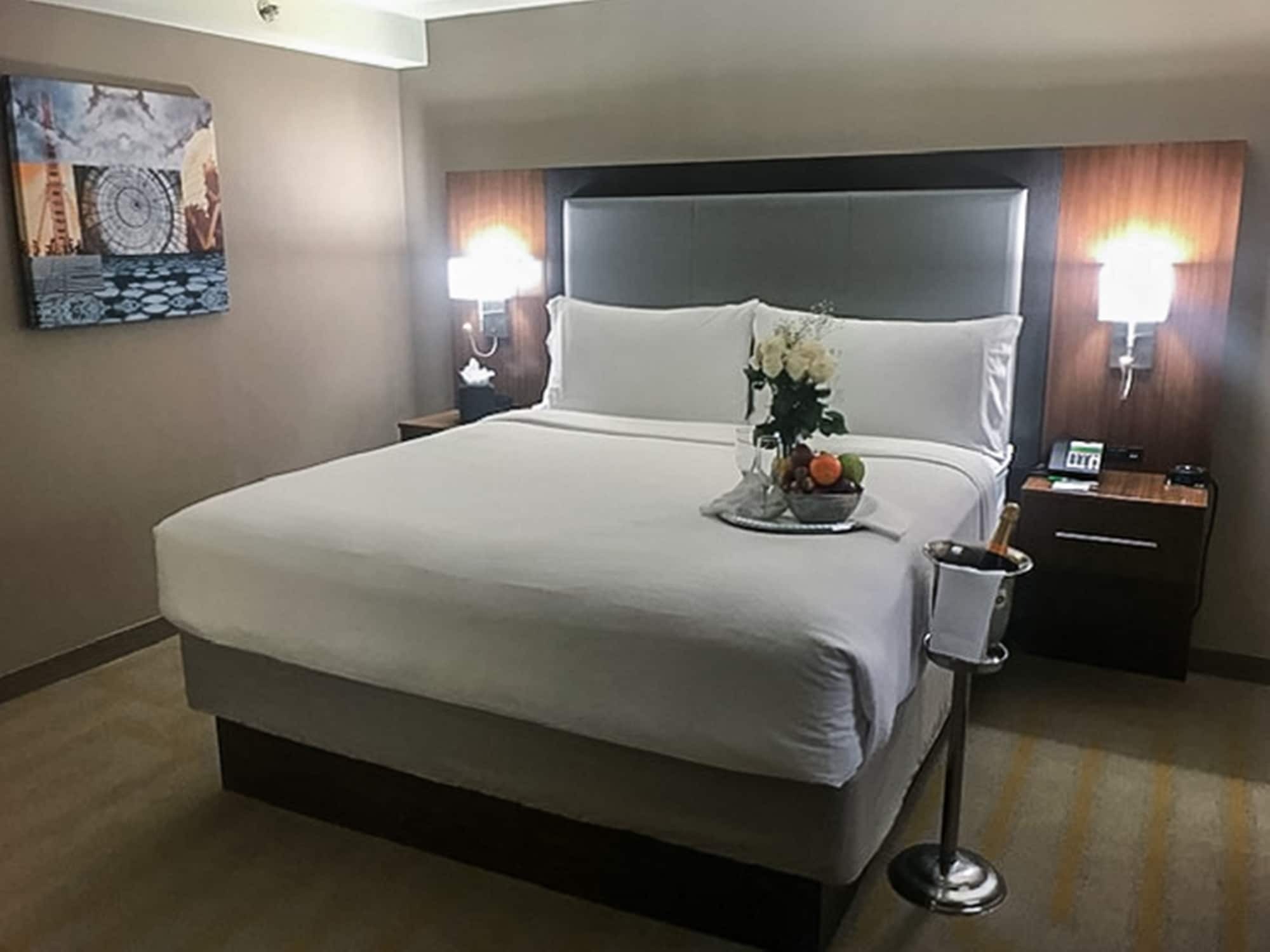 Holiday Inn Chicago Sw-Countryside Confctr By Ihg Eksteriør billede